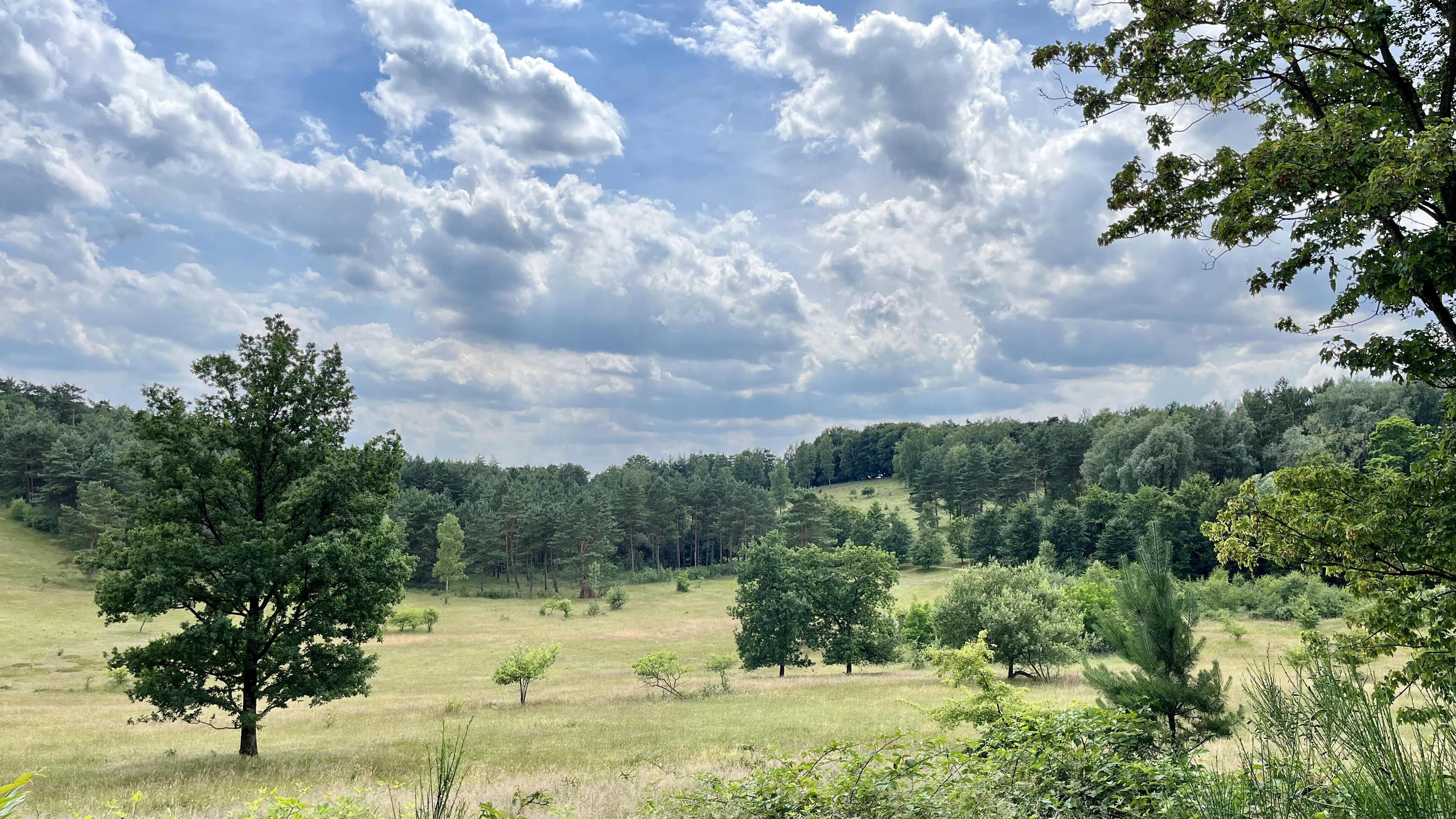 Fietsen langs de geheimen van ’barones De Paltz’ naar de terrassen in Lage Vuursche. ’Als ik hier be
